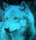 Avatar utente